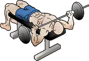 Bench Press drawing cartoon figure