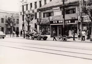 Horses pulling carts South Korea