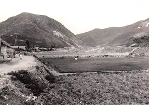 town near Pobwon Ni, rice fields